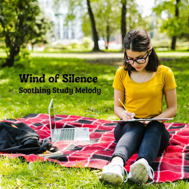 Wind of Silence: Soothing Study Melody - Nature Vibrations