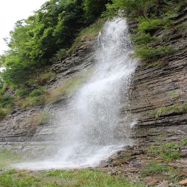 Water Features