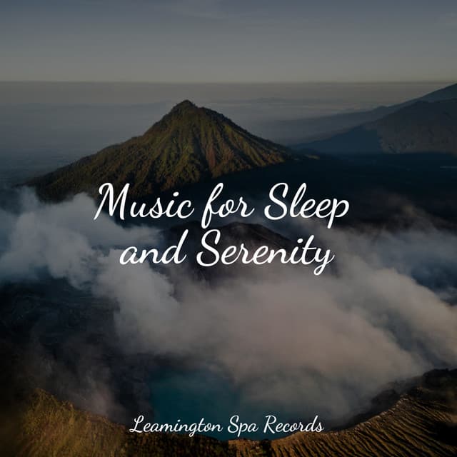 Music for Sleep and Serenity - Rain Spa