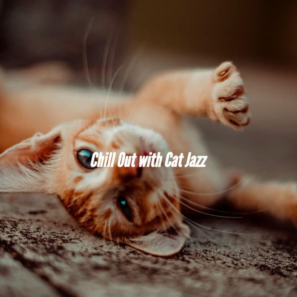 Chill Out with Cat Jazz - Slow Relaxing Jazz