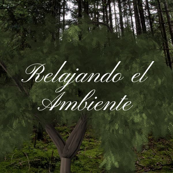 Relajando el Ambiente - Musica Relajante