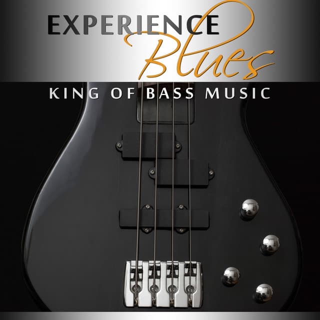 Experience Blues: King of Bass Music, Big Daddy BB Blues, Acoustic Music Rock - Green Blues Group