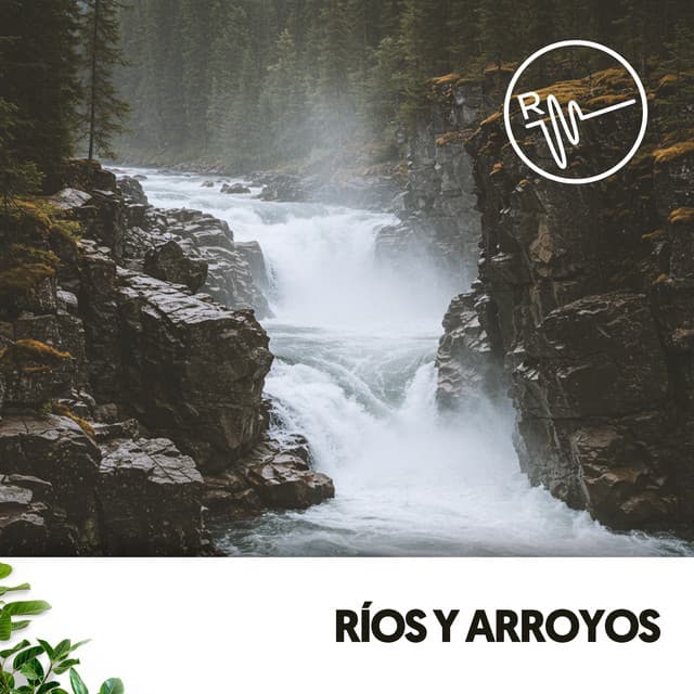 Ríos y Arroyos: Canciones de la Naturaleza - Ruido Blanco Hart