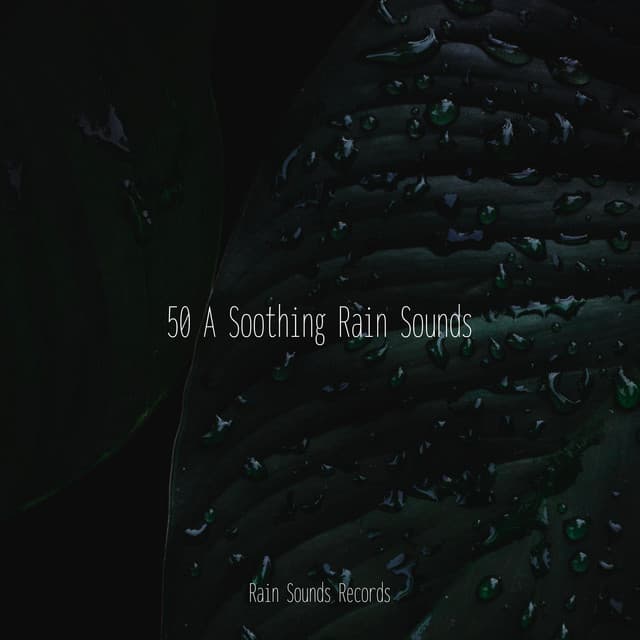 50 A Soothing Rain Sounds - Japanese Relaxation and Meditation