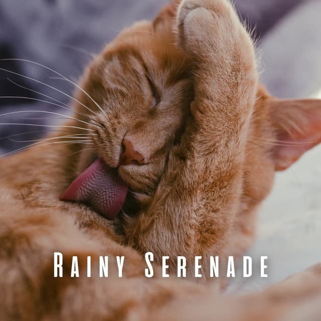 Rainy Serenade: Ambient Crystal Singing Bowl for Relaxed Cats - Rain Games