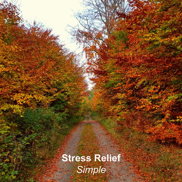 Simple - Stress Relief
