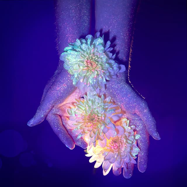 Sömn Energi Återställning - Erika Berg