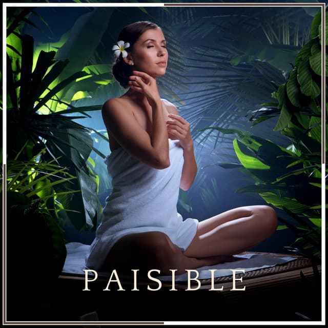 Paisible - Relax Chillout Lounge