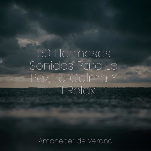 50 Hermosos Sonidos Para La Paz, La Calma Y El Relax - Sleep Baby Sleep