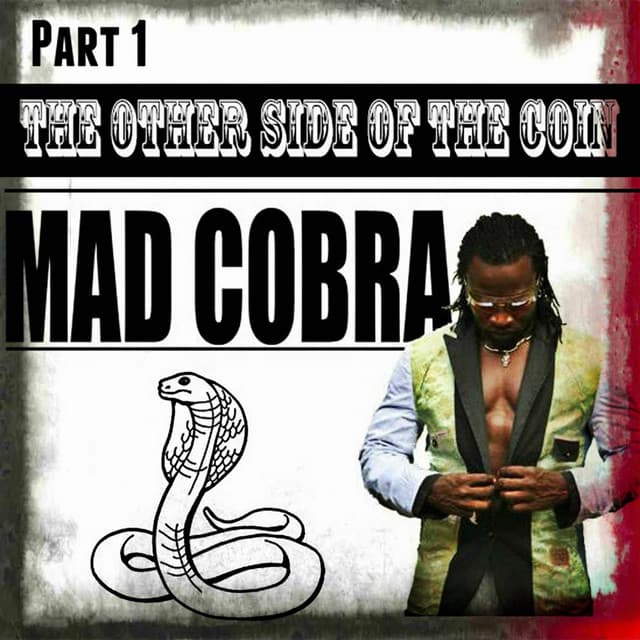 The Other Side of the Coin, Part 1 - Mad Cobra