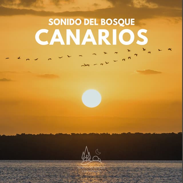Sonido del Bosque: Canarios - Sonido Del Bosque y Naturaleza
