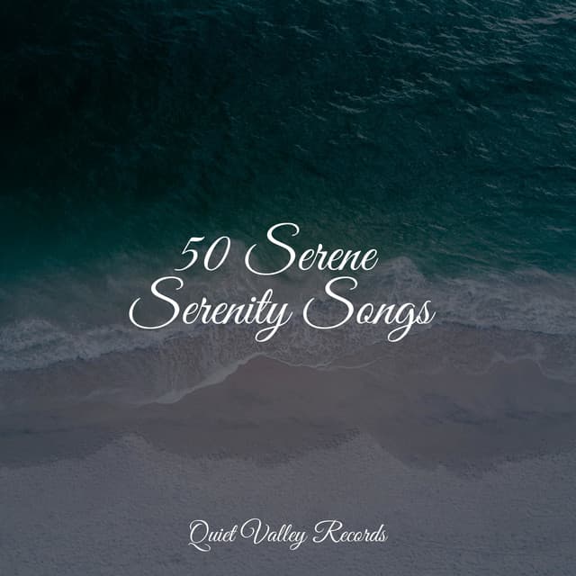 50 Serene Serenity Songs - Música de la Naturaleza