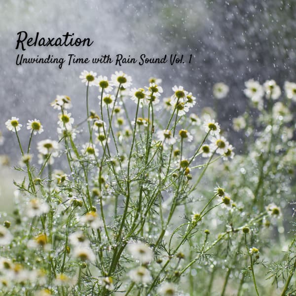 Relaxation: Unwinding Time with Rain Sound Vol. 1 - Dog Relax