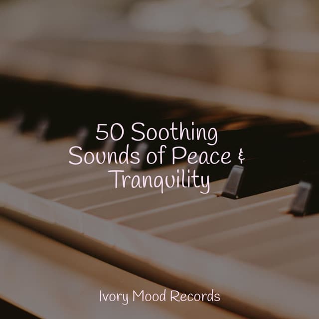 50 Soothing Sounds of Peace & Tranquility - kinderliedjes