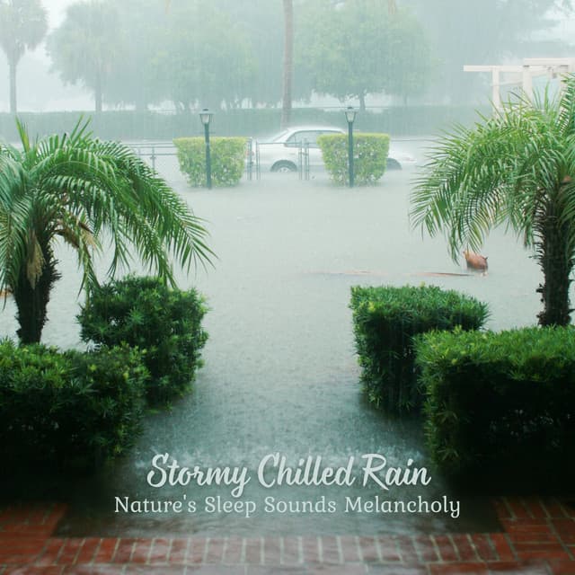 Stormy Chilled Rain: Nature's Sleep Sounds Melancholy - Rain Drops for Sleep