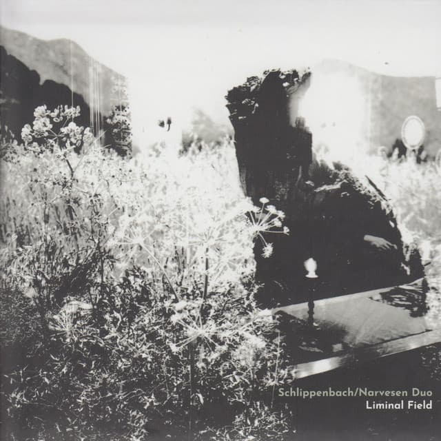 Liminal Field - Alexander von Schlippenbach