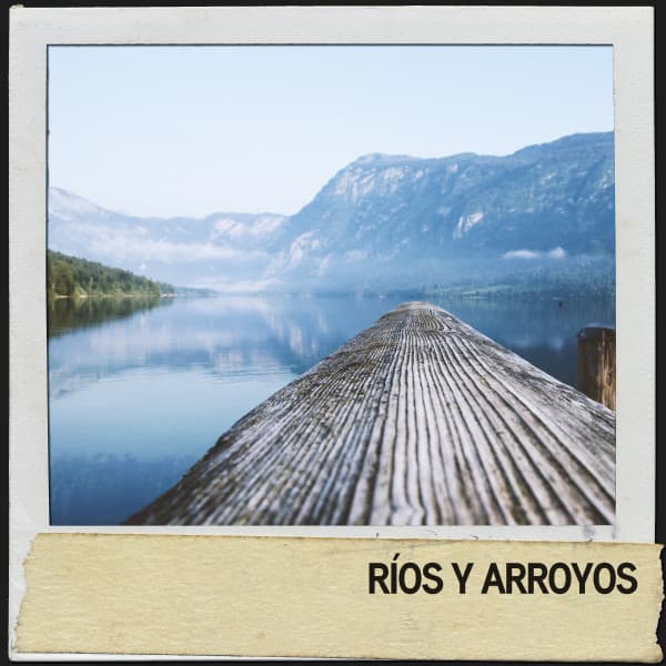 Ríos y Arroyos: Suaves Arroyos de Armonía - Ruido Blanco Hart