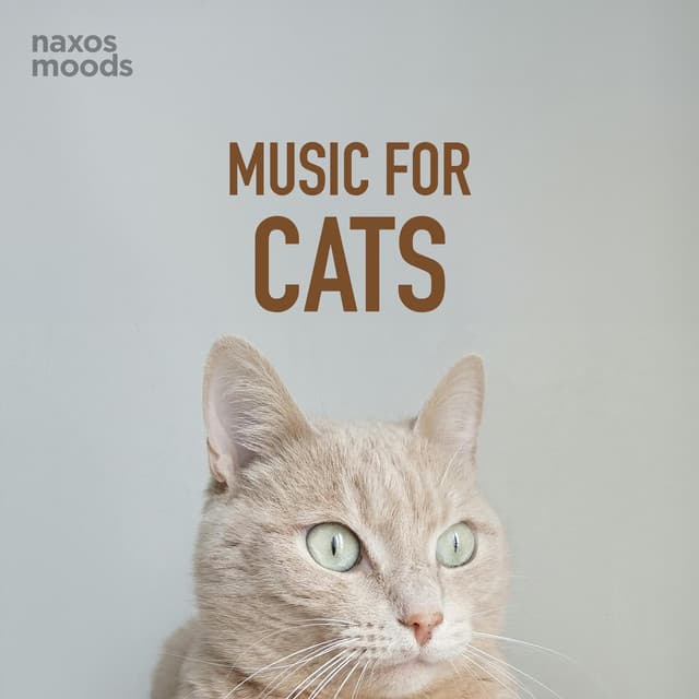 Music for Cats - Wolfgang Amadeus Mozart