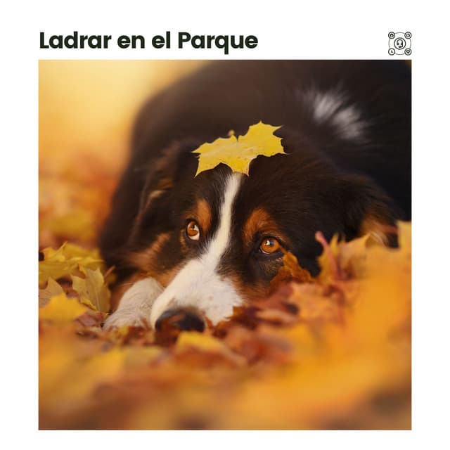 Ladrar en el Parque - Biblioteca de Música Para Mascotas