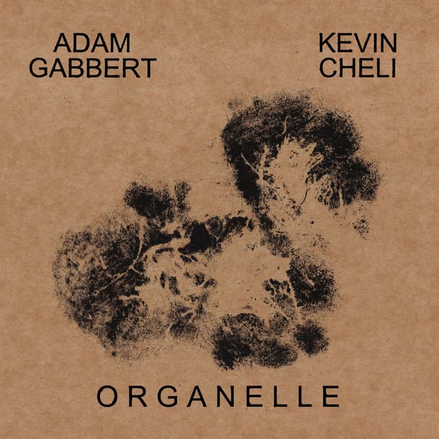 Organelle - Kevin Cheli