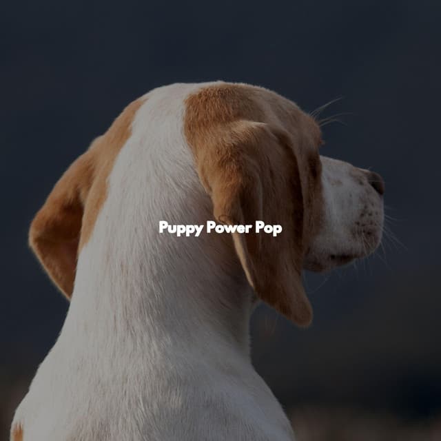 Puppy Power Pop - Jazz Rilassante Retro