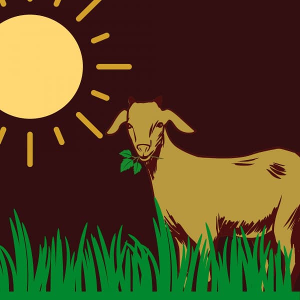 Jazz Violin - Background for Sunday Readings - Coffee House Days