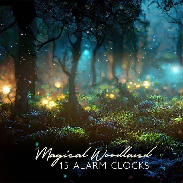 Magical Woodland - Imagination Music Universe