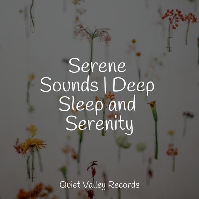 Serene Sounds | Deep Sleep and Serenity - Oasis of Meditation