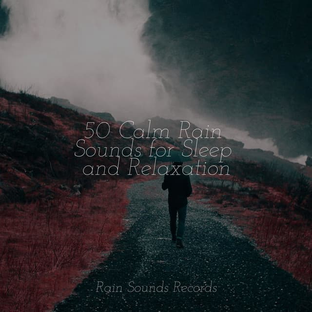 50 Calm Rain Sounds for Sleep and Relaxation - Relax Meditate Sleep