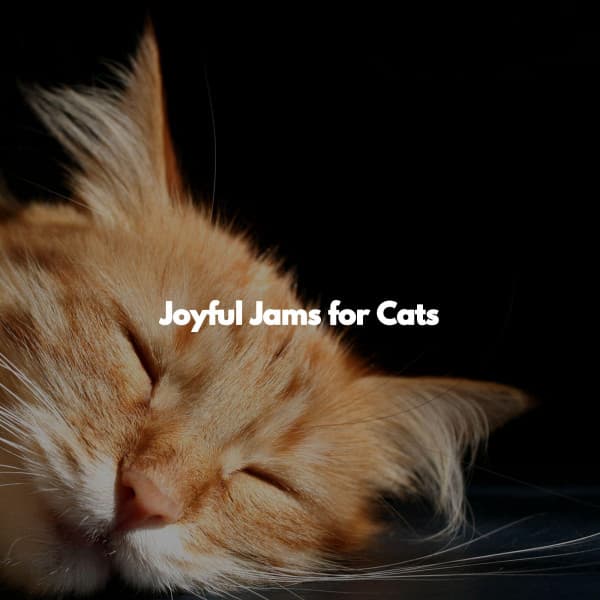 Joyful Jams for Cats - Weekend Jazz Chillout