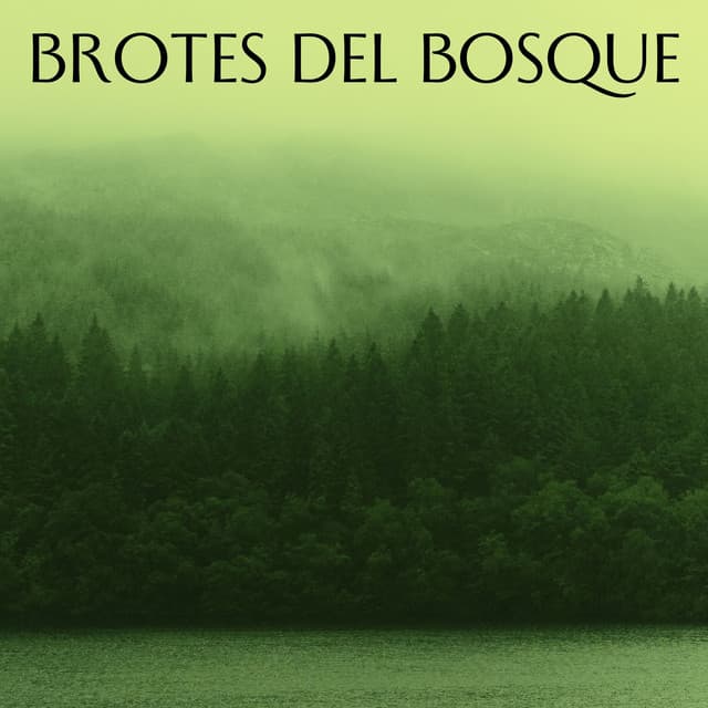 Brotes Del Bosque - Efectos especiales del bosque