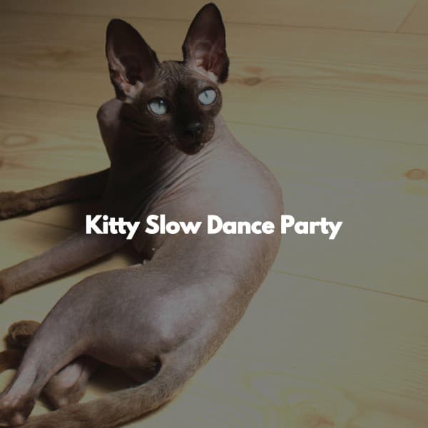 Kitty Slow Dance Party - Soft Alternative Lounge Jazz