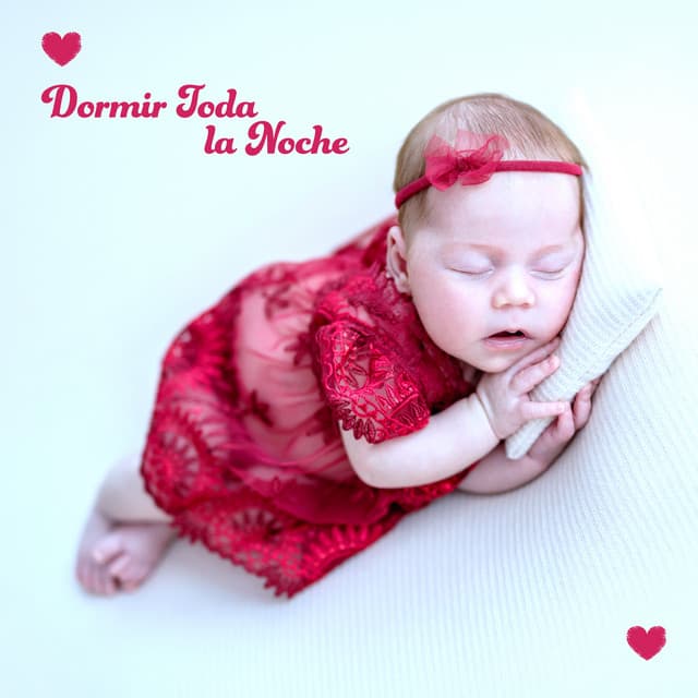 Dormir Toda la Noche - Amanda Soho