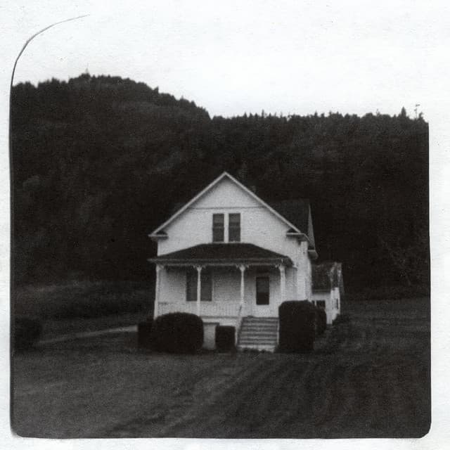 Window: - The Microphones