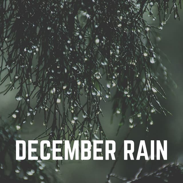 December Rain - Rain for Sleep