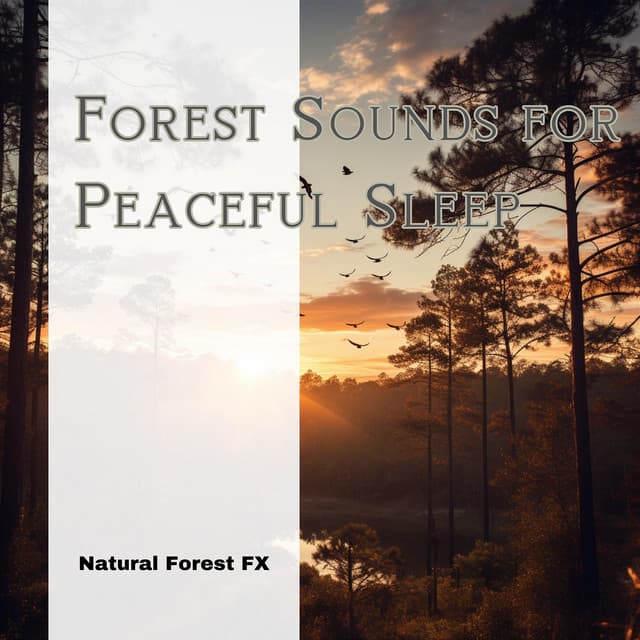 Forest Sounds for Peaceful Sleep - Natural Forest FX