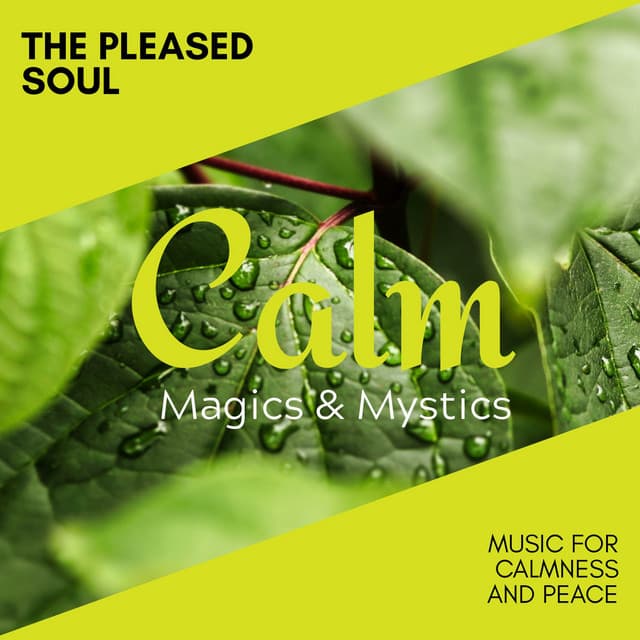 The Pleased Soul - Music for Calmness and Peace - Relaxing Minds