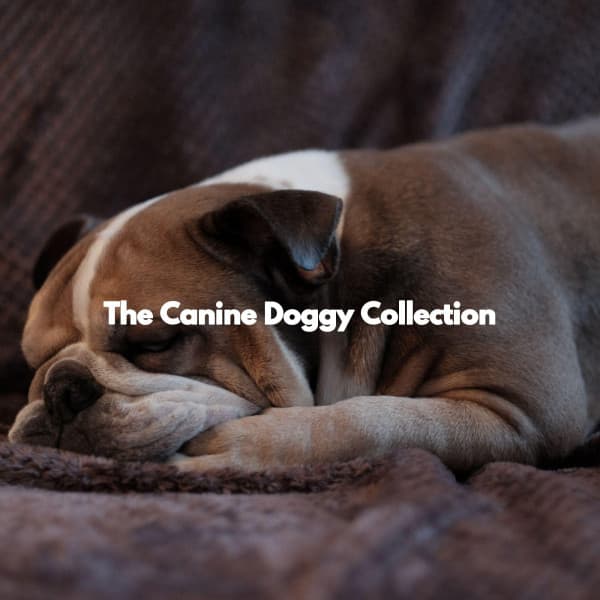 The Canine Doggy Collection - Musica para Perros