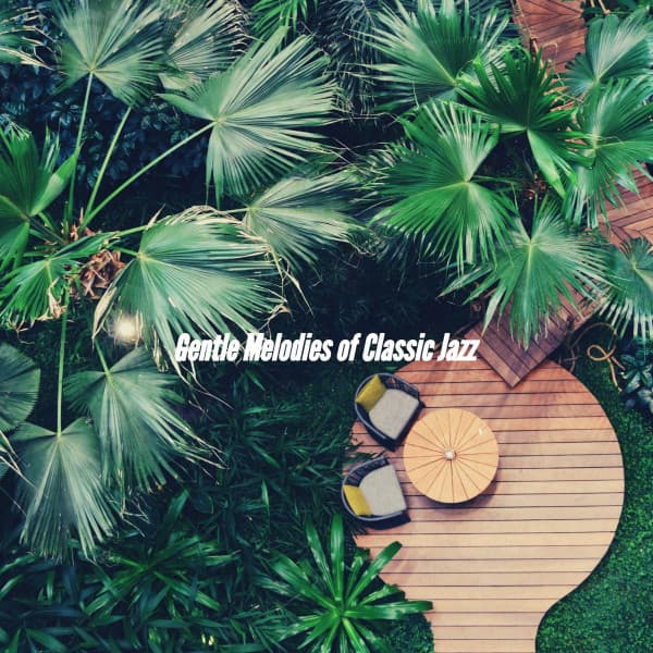 Soothing Dinner Music