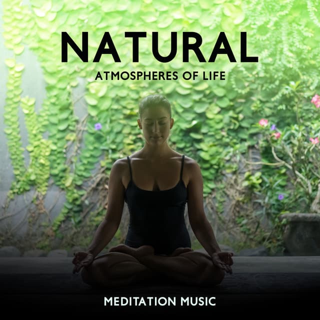 Natural Atmospheres of Life: Meditation Music - Serenity Stream