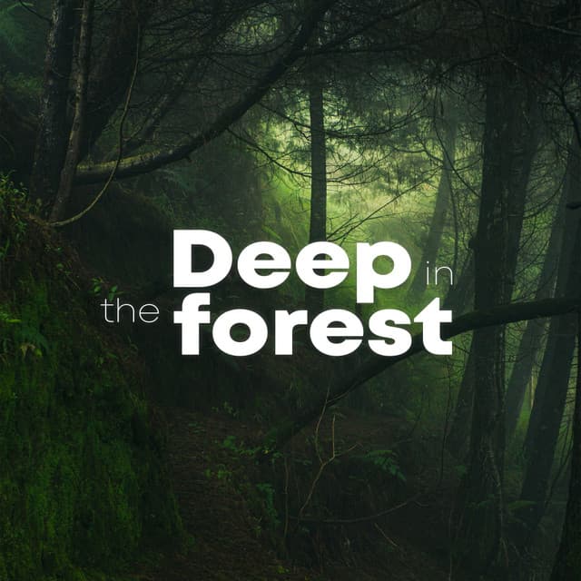 Deep In The Forest - Soothing Sounds