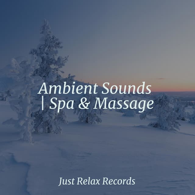 Ambient Sounds | Spa & Massage - Sleepy Night Music