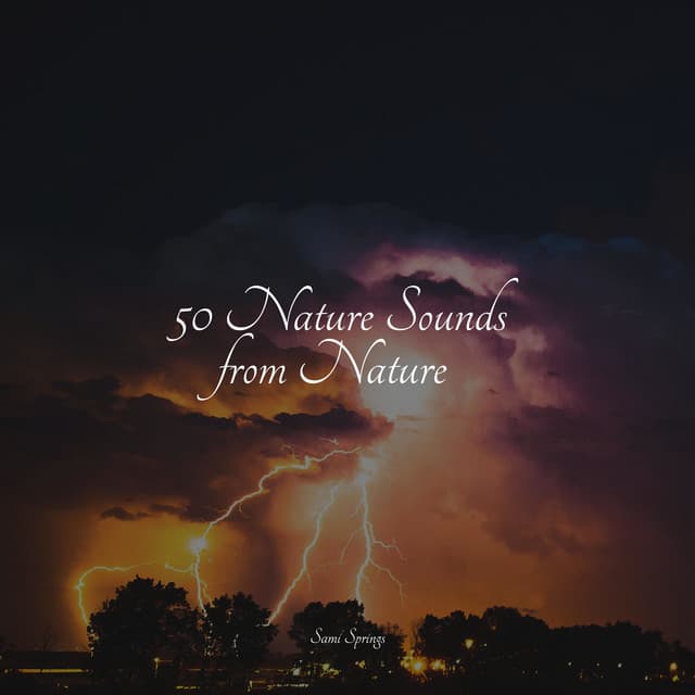 50 Nature Sounds from Nature - FX & Effects
