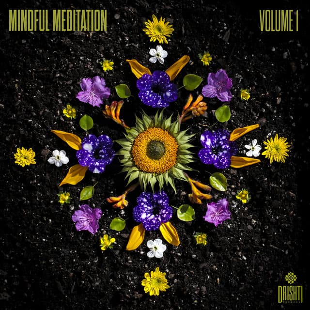 Meditation Muse