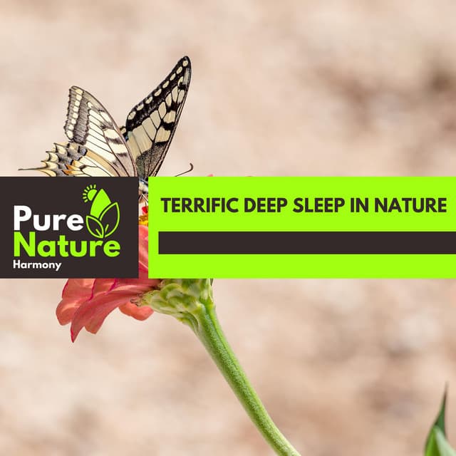 Terrific Deep Sleep in Nature - Nature Field Recordings