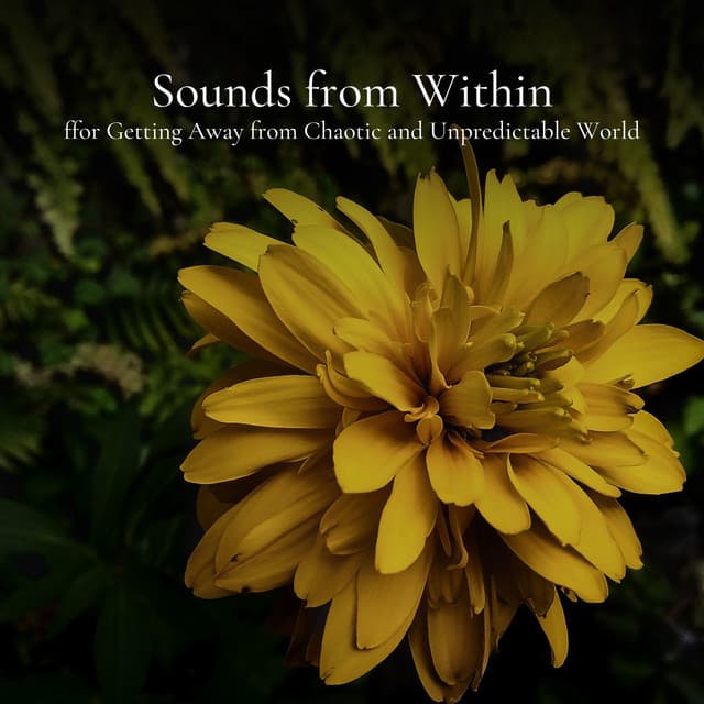 Sounds from Within for Getting Away from Chaotic and Unpredictable World - Ambientalism