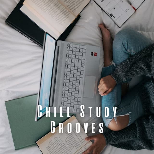 Chill Study Grooves: Lofi Vibes for Academic Success - Lofi For Study