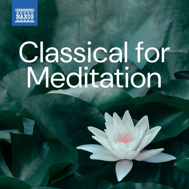 Classical for Meditation - Camille Saint-Saëns