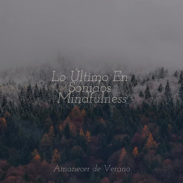 Lo Último En Sonidos Mindfulness - Música Para Meditar y Relajarse