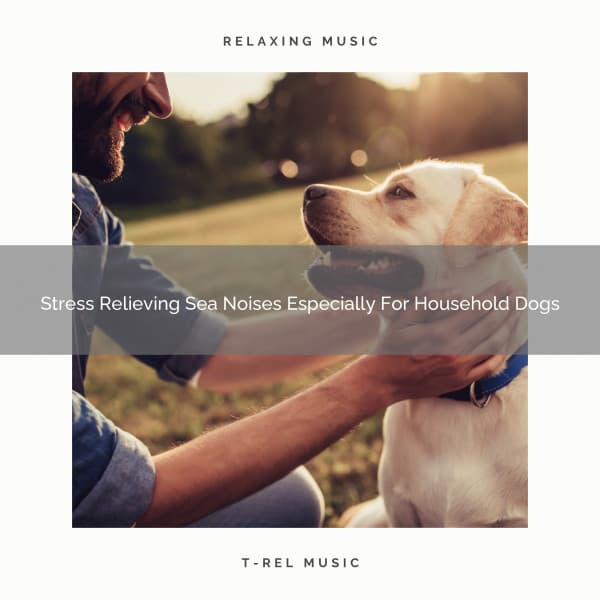 Stress Relieving Sea Noises Especially For Household Dogs - Pets Relax
